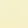 PVC Folie HAOGENPLAST sand 1.65 m, 41,25 m2/Rolle