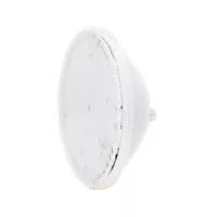 RGB und weiss PAR56 LED Birne