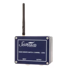 Funkfernbedienung Fernschalter 1 Kanal 2 Tasten 12V/120W