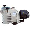 Filterpumpe ONDINA 0,50LE 0,58kW/400V,  8,5 m3/h