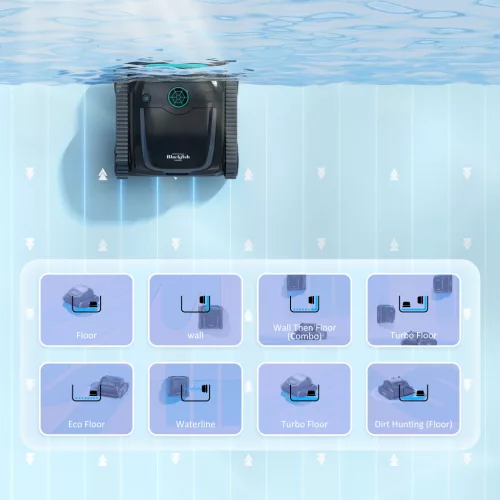 Pontaqua Blackfish  Vision Akkuroboter